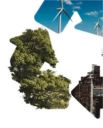 Nakkaş Madencilik | Anasayfa